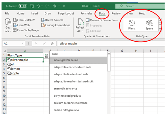 Data types in excel