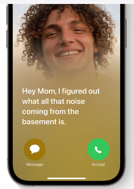 Voicemail transcript